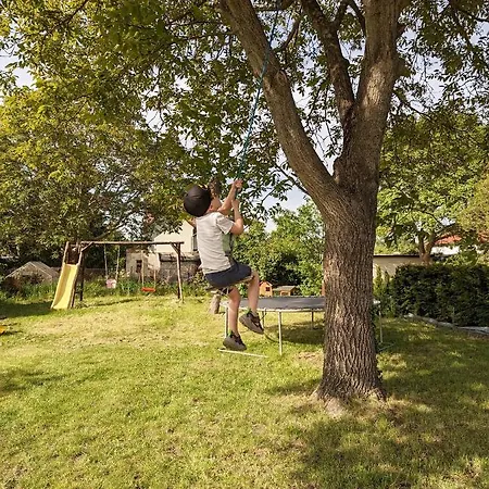 Lausitz Holiday home Lauta